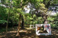 Meetup: Picnic independent
